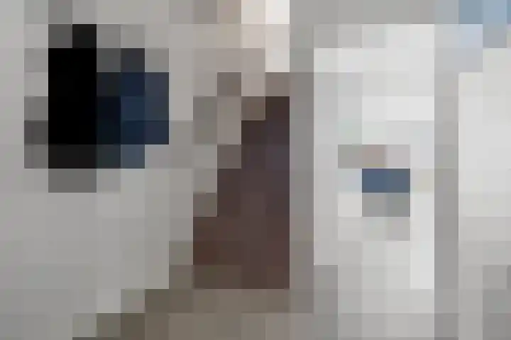 Veelmanlanden 7 Enschede thumbnail 25