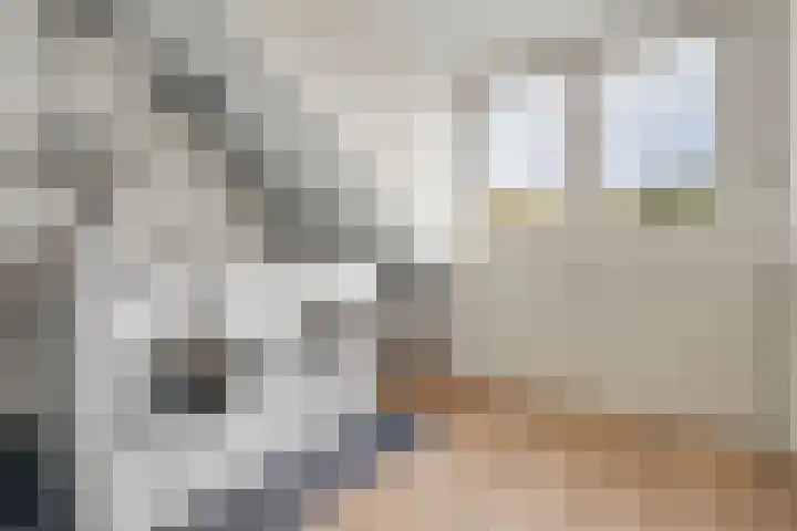 Veelmanlanden 7 Enschede thumbnail 41