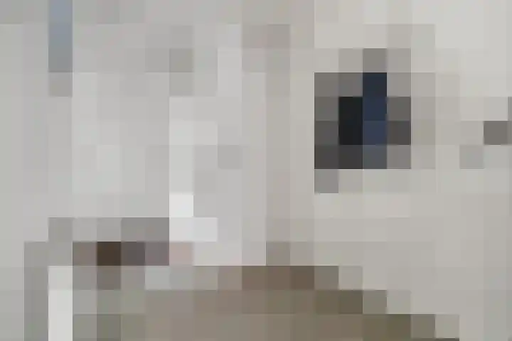Veelmanlanden 7 Enschede thumbnail 7