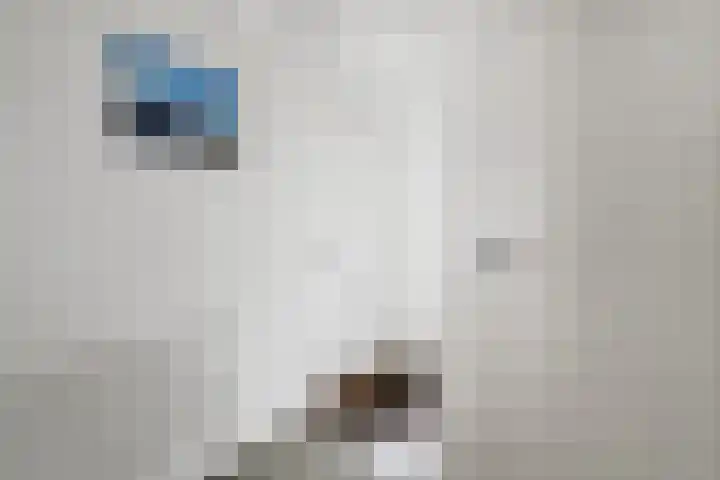 Veelmanlanden 7 Enschede thumbnail 8