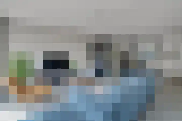 Veelmanlanden 7 Enschede thumbnail 9