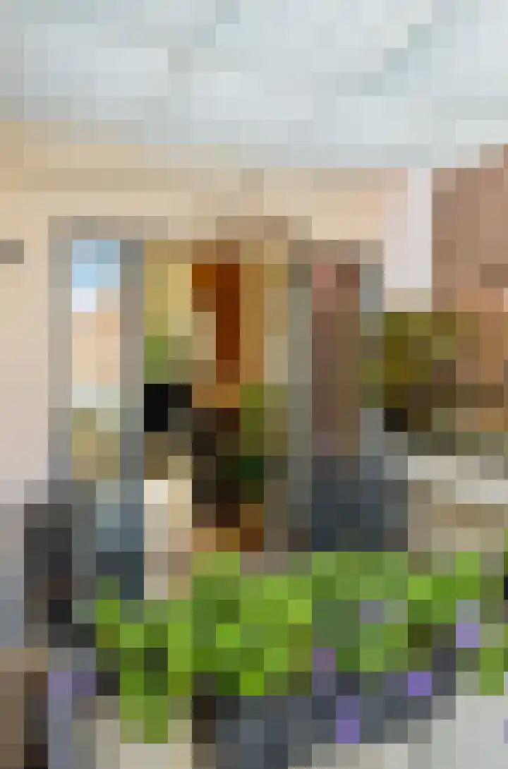 Veemarktstraat 25 B Breda thumbnail 24