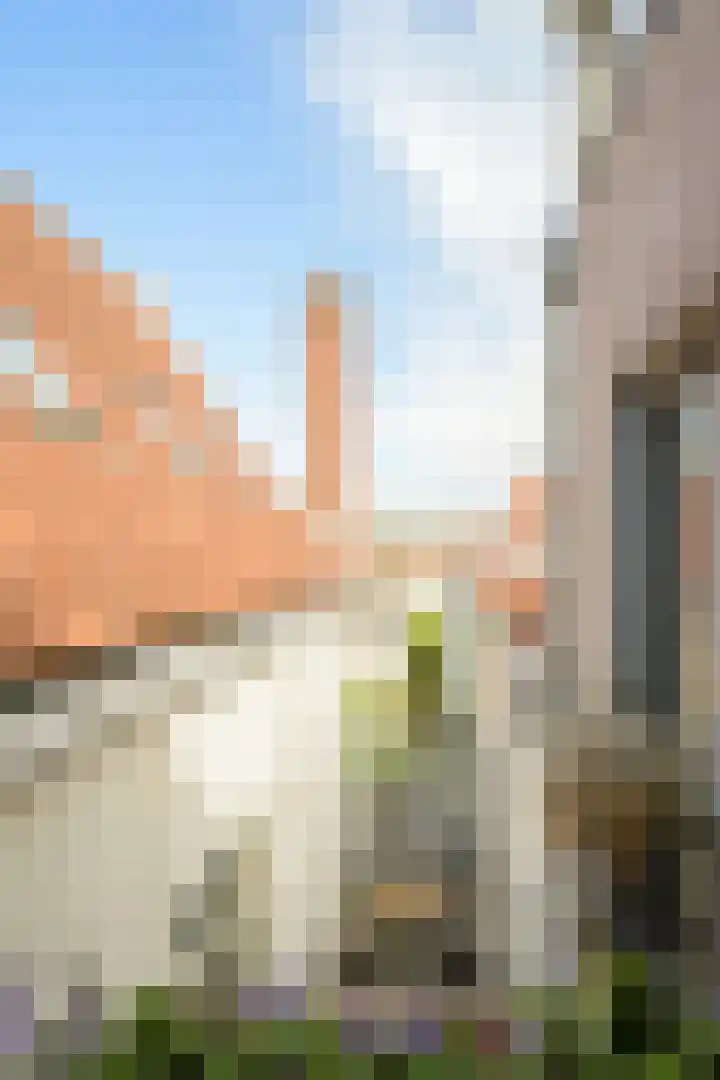 Veemarktstraat 25 B Breda thumbnail 25