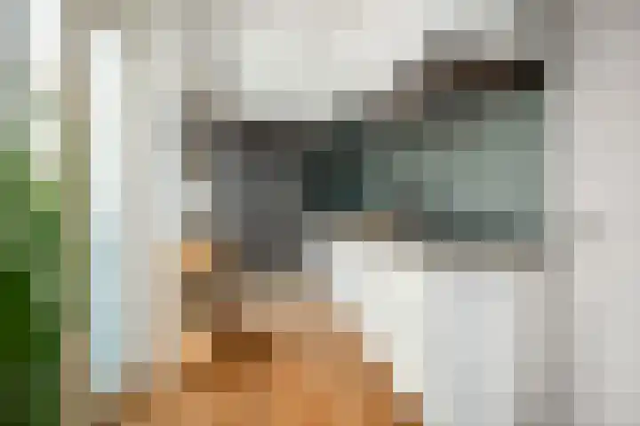 Veemarktstraat 25 B Breda thumbnail 5