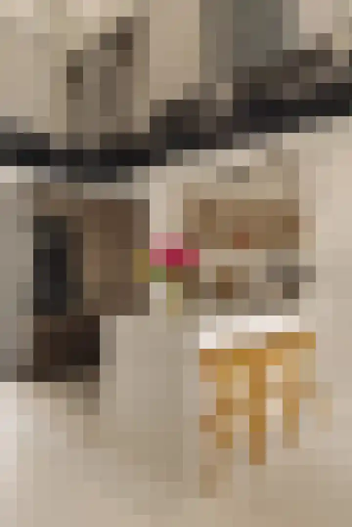 Veemkade 1096 Amsterdam thumbnail 11