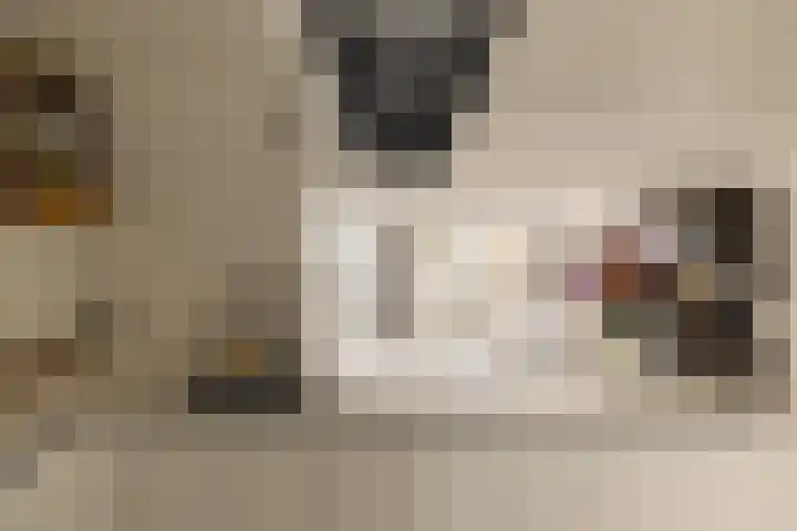 Veemkade 1096 Amsterdam thumbnail 12