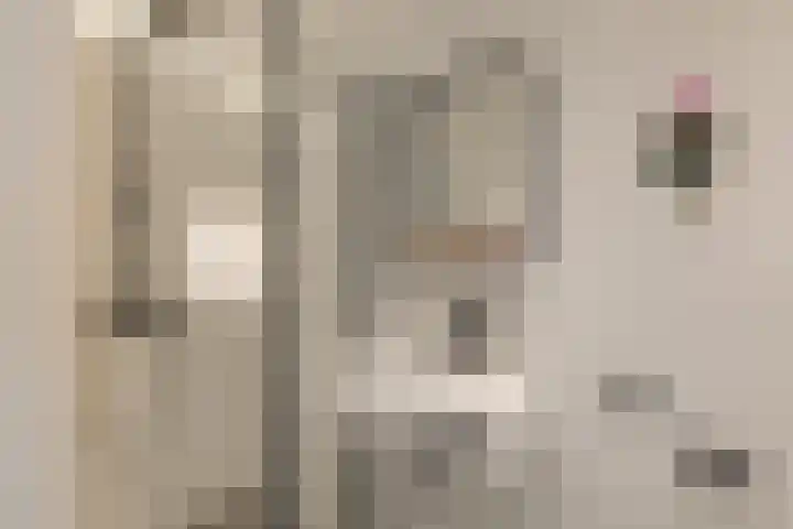 Veemkade 1096 Amsterdam thumbnail 21