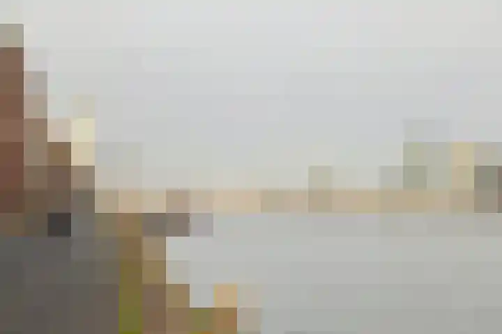 Veemkade 1096 Amsterdam thumbnail 29