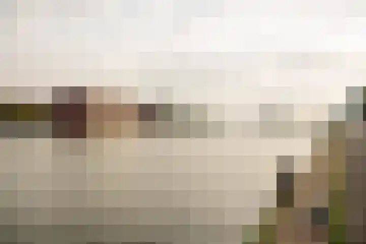 Veemkade 1096 Amsterdam thumbnail 31