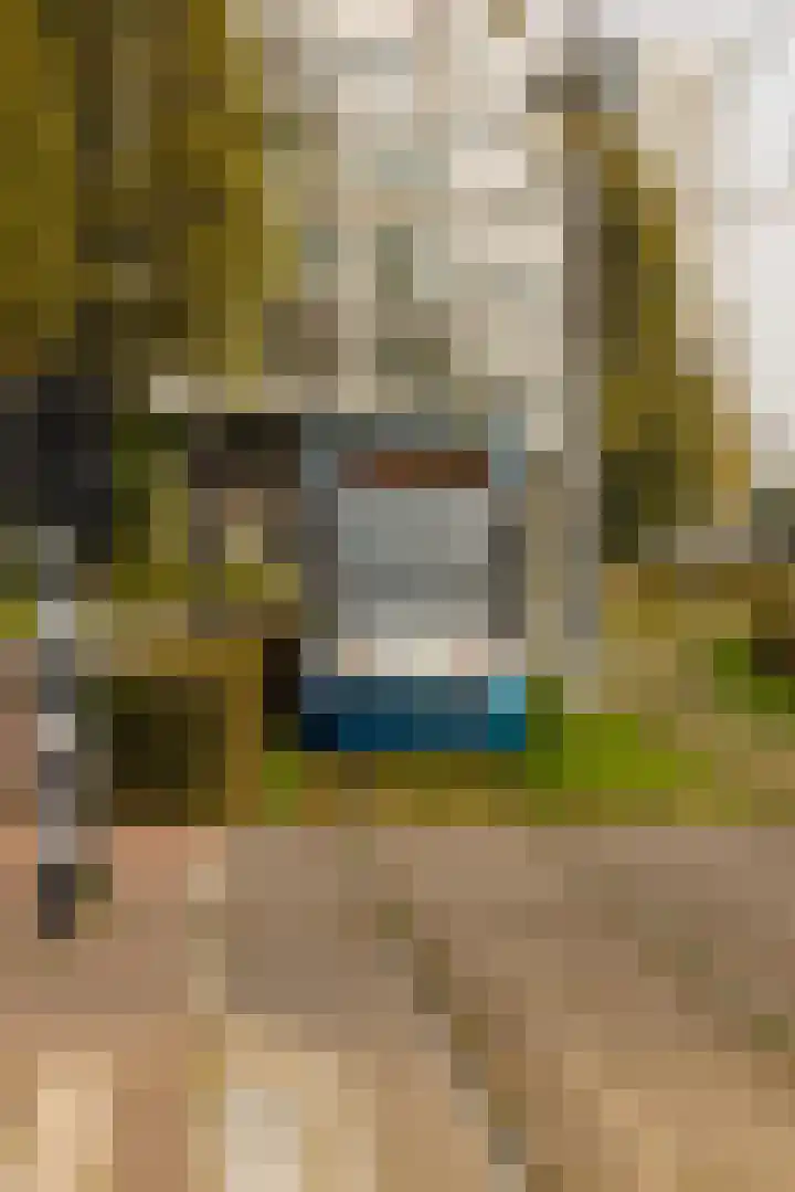 Veemkade 1096 Amsterdam thumbnail 37