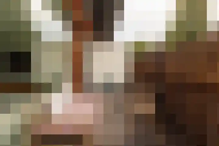 Veemkade 1096 Amsterdam thumbnail 5