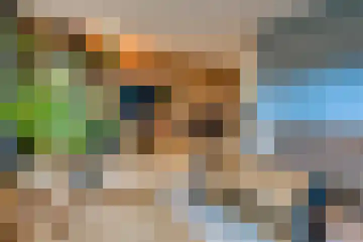 Veenbes 43 Ter Apel thumbnail 10