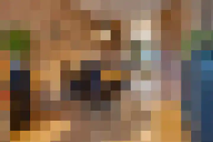 Veenbes 43 Ter Apel thumbnail 12