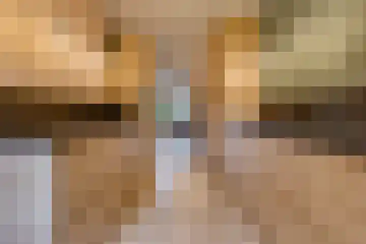 Veenbes 43 Ter Apel thumbnail 14