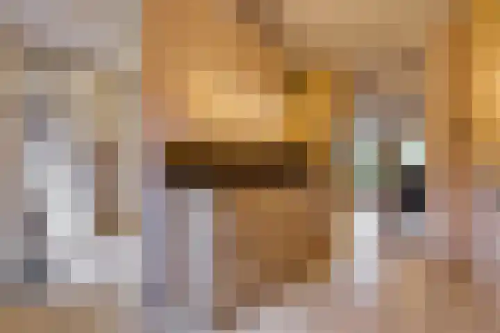 Veenbes 43 Ter Apel thumbnail 15