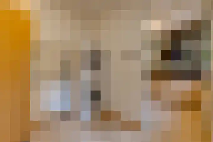 Veenbes 43 Ter Apel thumbnail 17