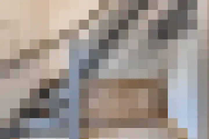 Veenbes 43 Ter Apel thumbnail 22