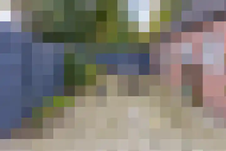 Veenbes 43 Ter Apel thumbnail 35