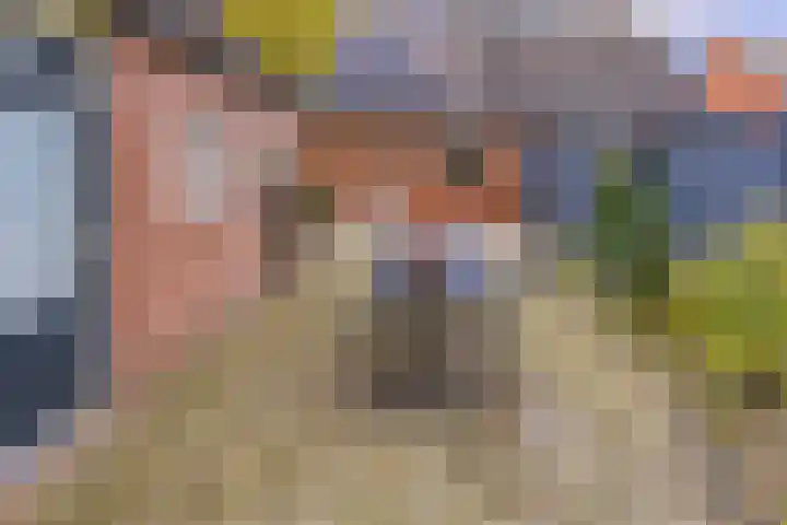 Veenbes 43 Ter Apel thumbnail 36