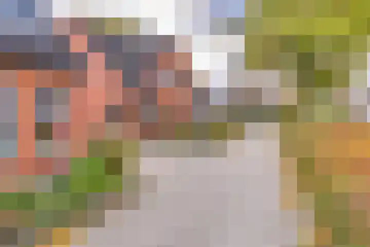 Veenbes 43 Ter Apel thumbnail 4