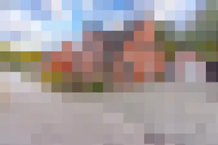 Veenbes 43 Ter Apel thumbnail 5