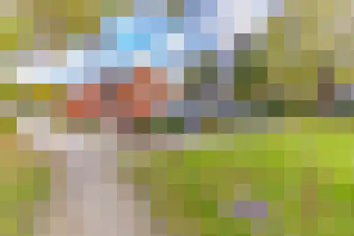 Veenbes 43 Ter Apel thumbnail 6