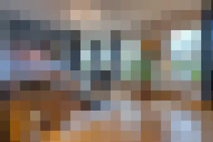 Veenbes 43 Ter Apel thumbnail 7