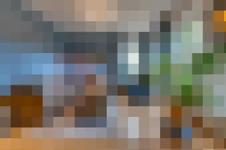 Veenbes 43 Ter Apel thumbnail 8