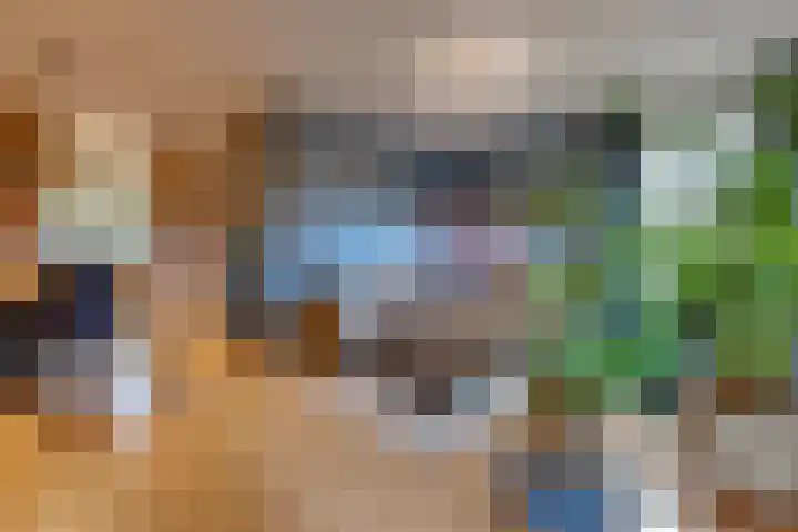 Veenbes 43 Ter Apel thumbnail 9