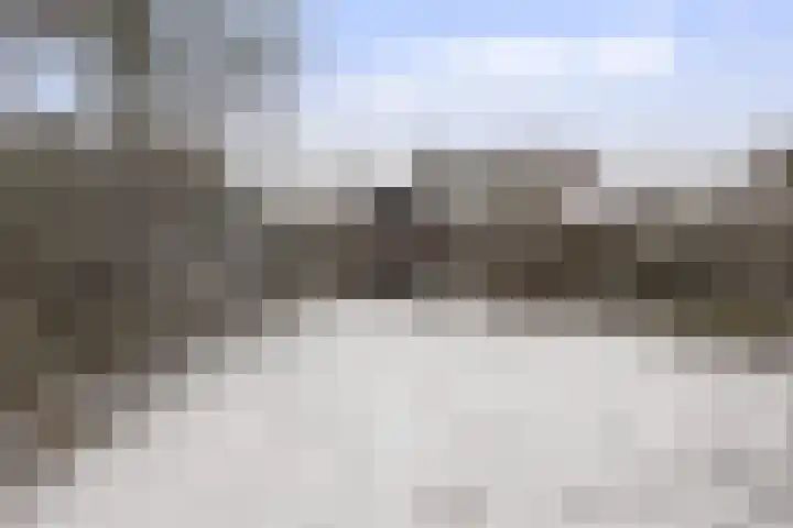 Veenbes 49 Ter Apel thumbnail 15