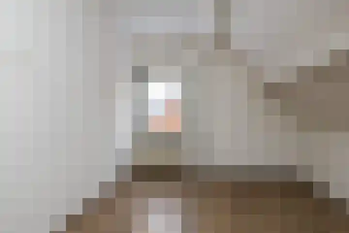 Veenbes 49 Ter Apel thumbnail 8