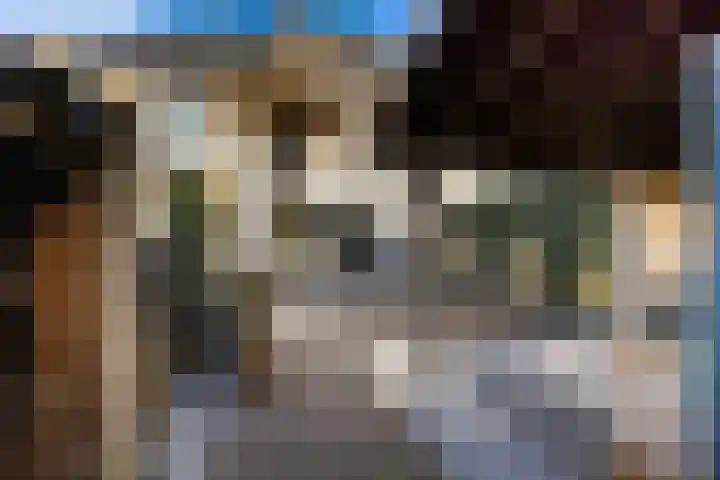 Veenderij 32 Stolwijk thumbnail 17