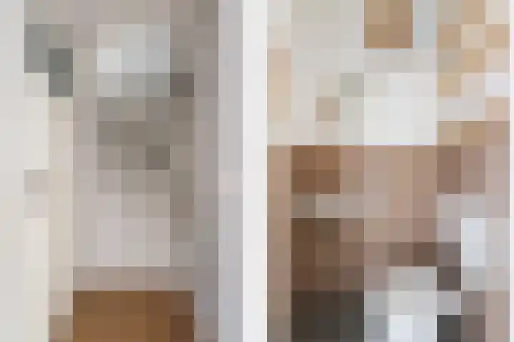 Veenderij 32 Stolwijk thumbnail 20