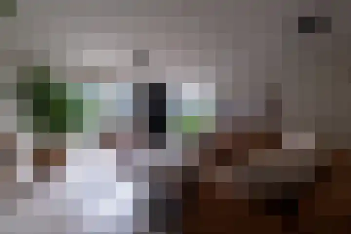 Veenderij 54 Tolbert thumbnail 12