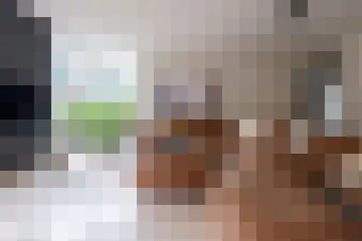 Veenderij 54 Tolbert thumbnail 13