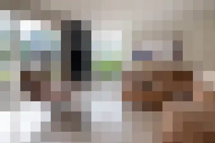 Veenderij 54 Tolbert thumbnail 14