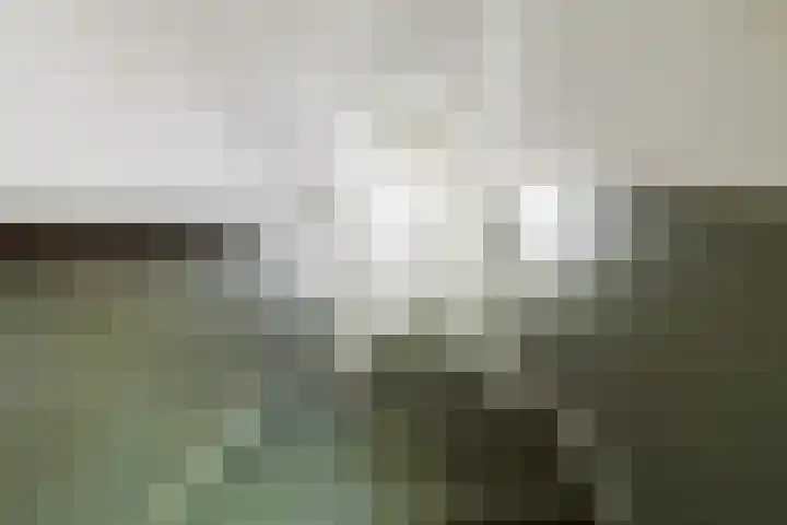 Veenderij 54 Tolbert thumbnail 15