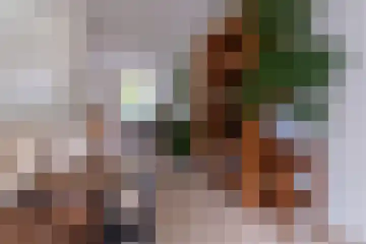 Veenderij 54 Tolbert thumbnail 17