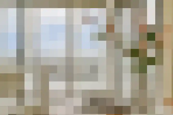Veenderij 54 Tolbert thumbnail 18