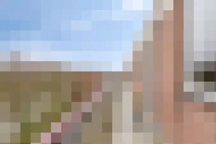 Veenderij 54 Tolbert thumbnail 27