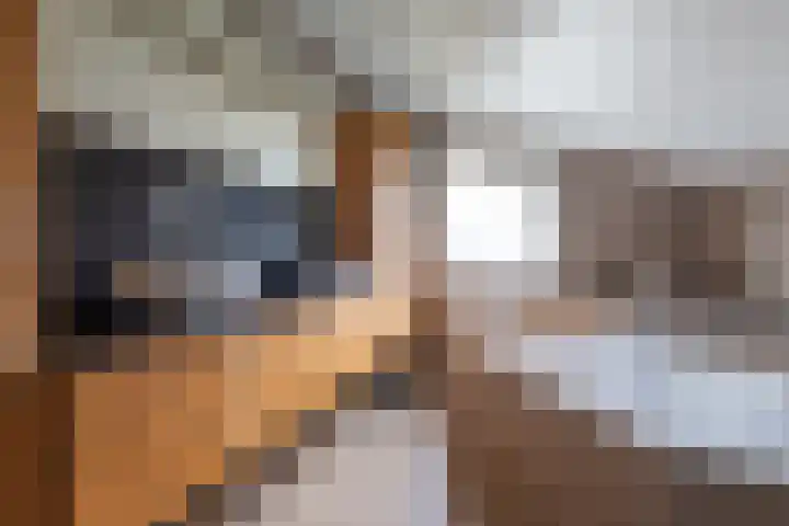 Veenderij 54 Tolbert thumbnail 33