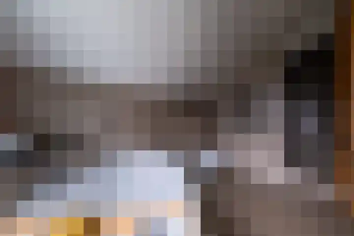 Veenderij 54 Tolbert thumbnail 34
