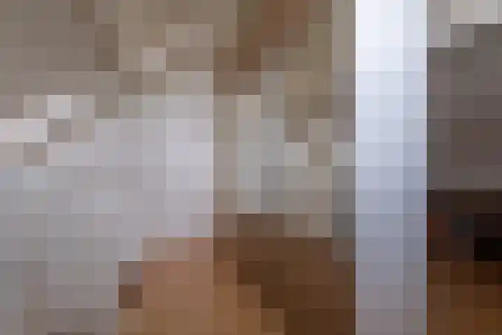 Veenderij 54 Tolbert thumbnail 37