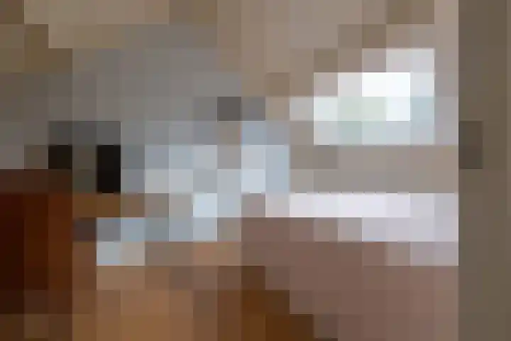 Veenderij 54 Tolbert thumbnail 38