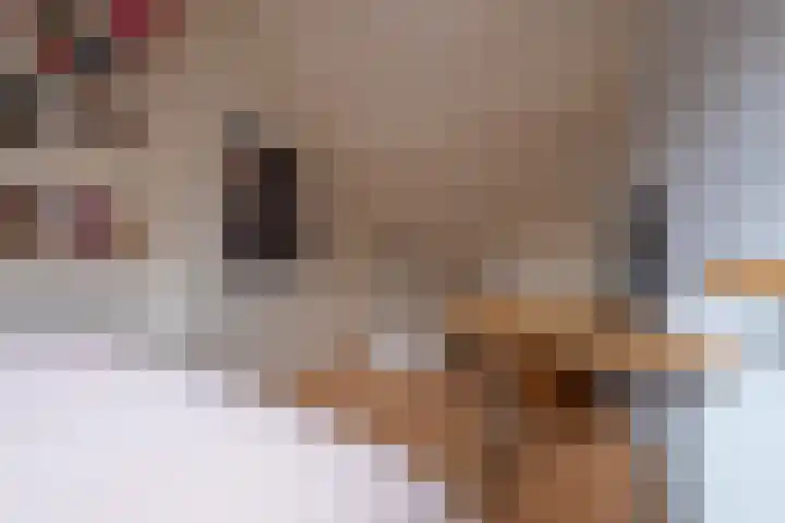 Veenderij 54 Tolbert thumbnail 39