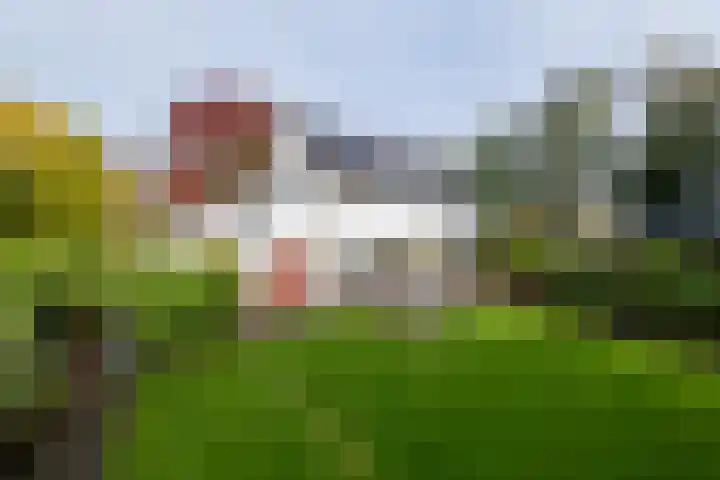 Veenderij 54 Tolbert thumbnail 4