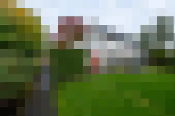 Veenderij 54 Tolbert thumbnail 40