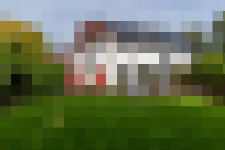 Veenderij 54 Tolbert thumbnail 41