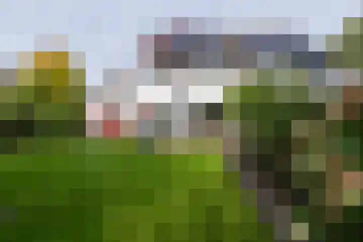 Veenderij 54 Tolbert thumbnail 42