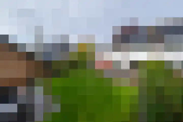 Veenderij 54 Tolbert thumbnail 43